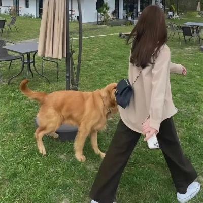 黑色孤儿:回响